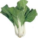 Bok Choy