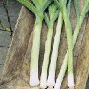 Leeks